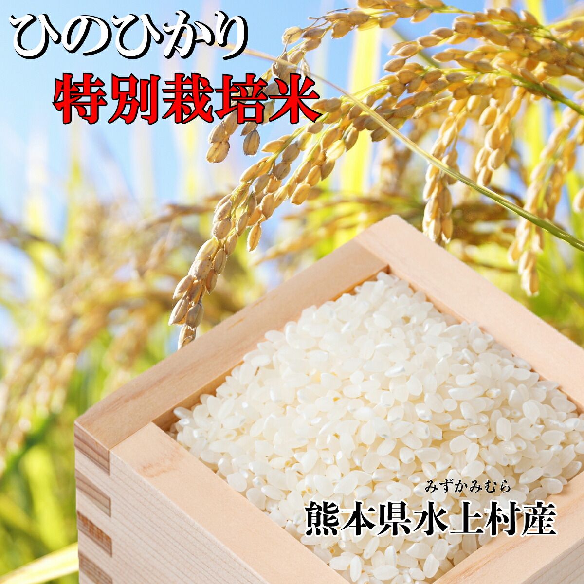 令和6年産