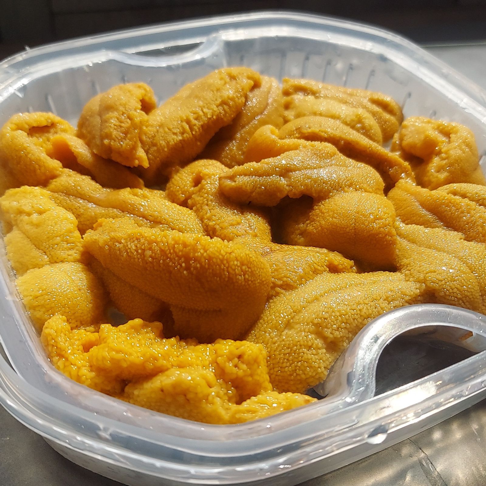北海道小樽産 生キタムラサキウニ 塩水パック 100g×2個 A品 業務用 北海グルメ道 ミョウバン無添加 うに うに丼