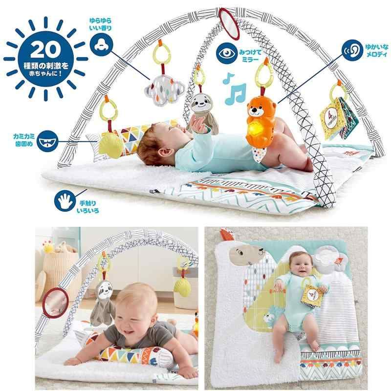 フィッシャープライス fisher price パーフェクトセンスデラックスジム FXC37
