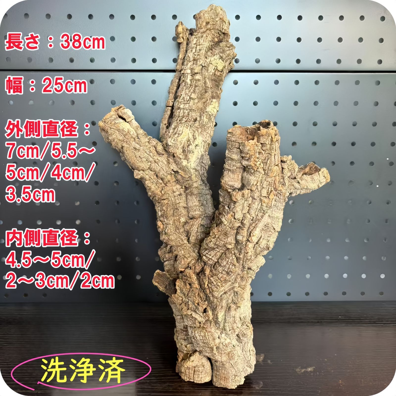 250905 ポルトガル産 キャノンコルク コルク樹皮 コルク板 バージンコルク 送料無料 チランジア ビカクシダ 着生ラン 両生類 爬虫類