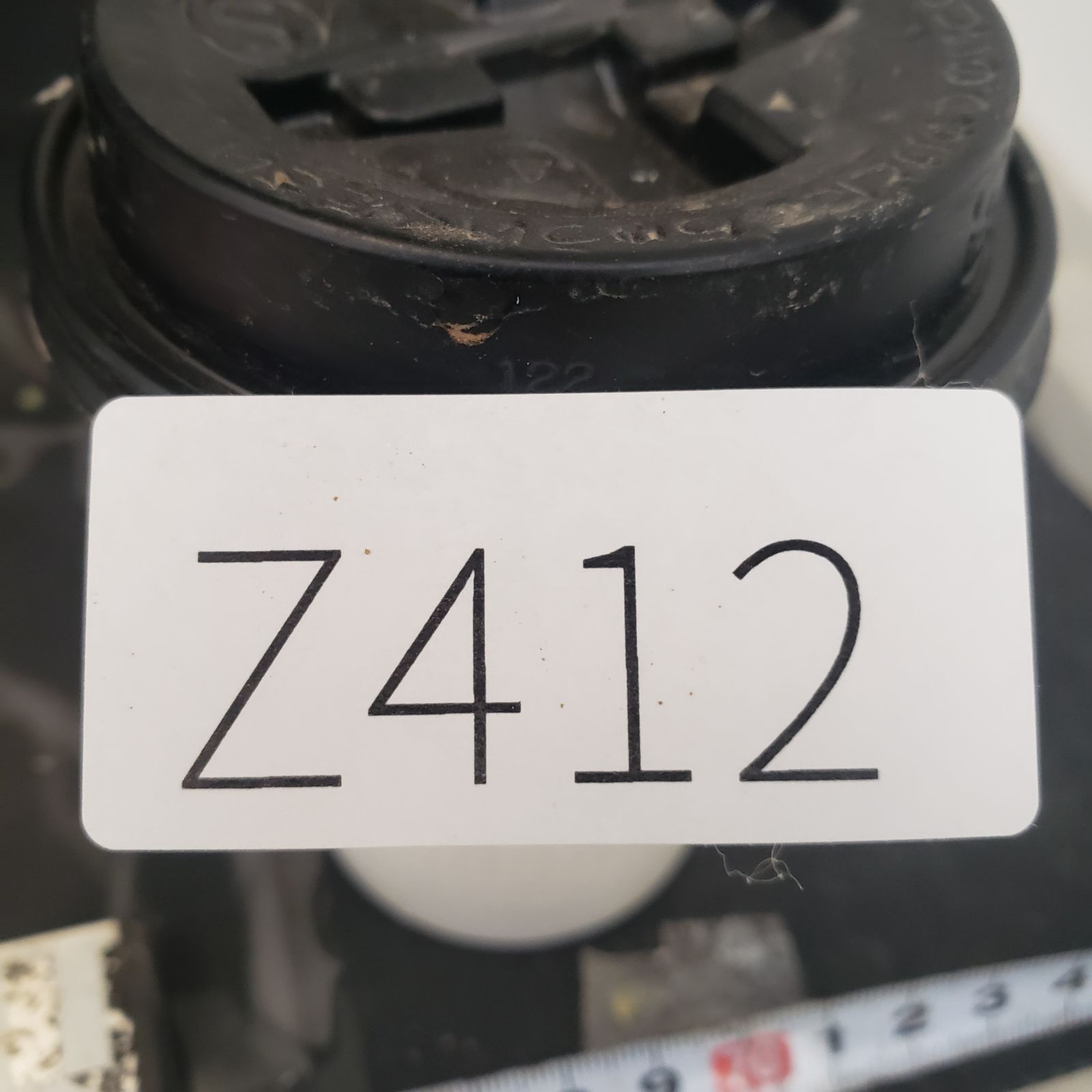 Z412 最新到着 Boophane ハエマンソイデス ML 現地球 抜き苗 球根植物 ブーファン ハエマンソイデス WWW_GEBZETESISAT_COM_TR