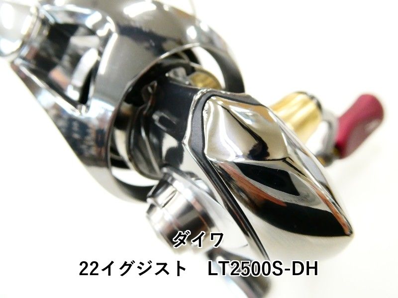 ダイワ 22イグジスト LT2500S-DH (02-8209120032) イグジスト22