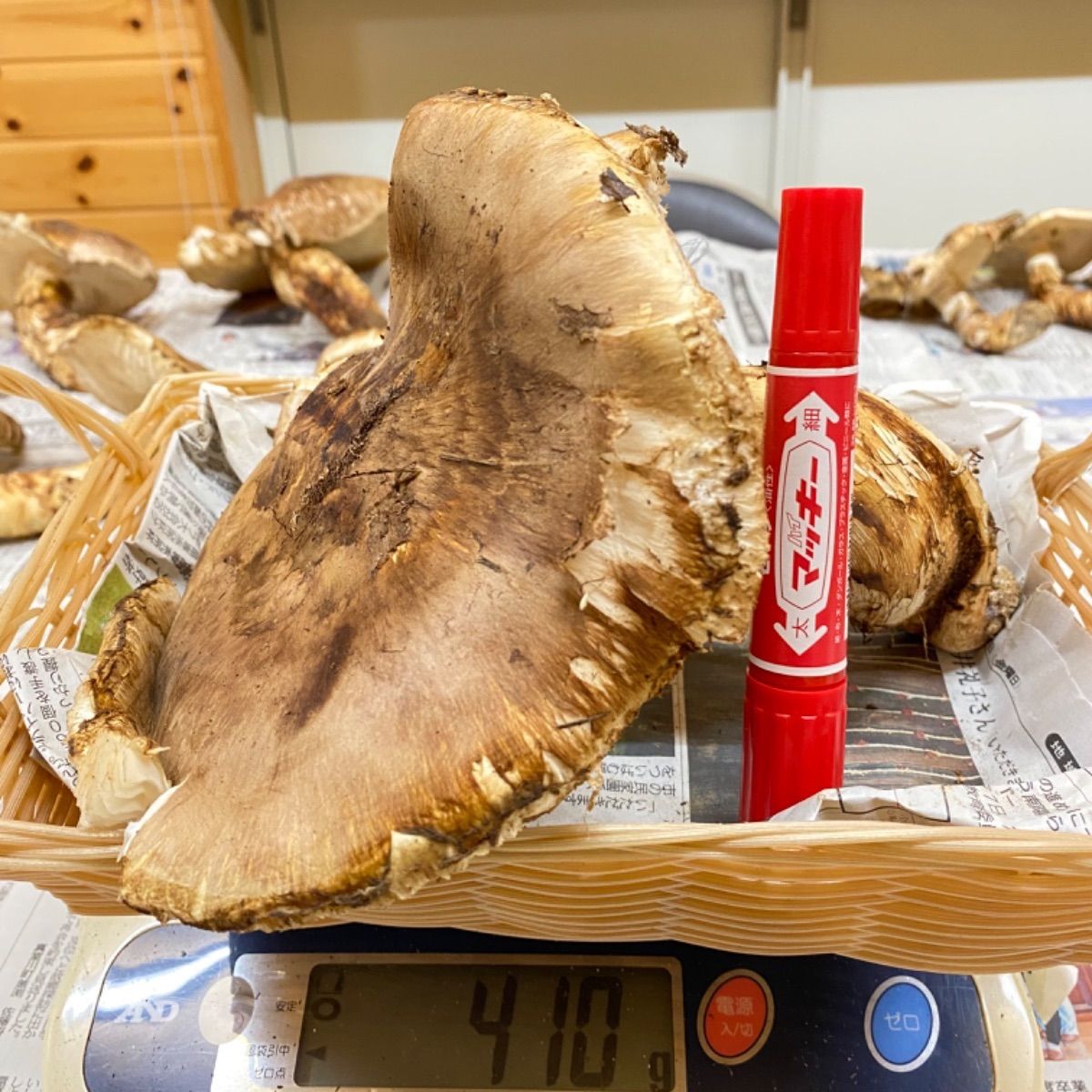 ① 松茸 マツタケ 長野県産 信州産 国産 信州産「天然松茸」（約150g⁄