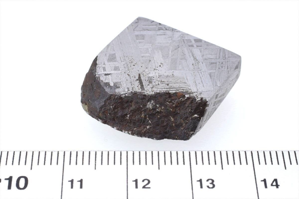 ムオニオナルスタ隕石 標本 ムオニオナルスタ 隕石 18.5g オクタへドライト 鉄隕石 標本