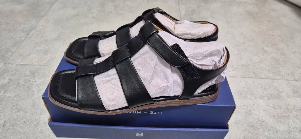 【限定Sale】即納！ロックポートシューズ 上履き