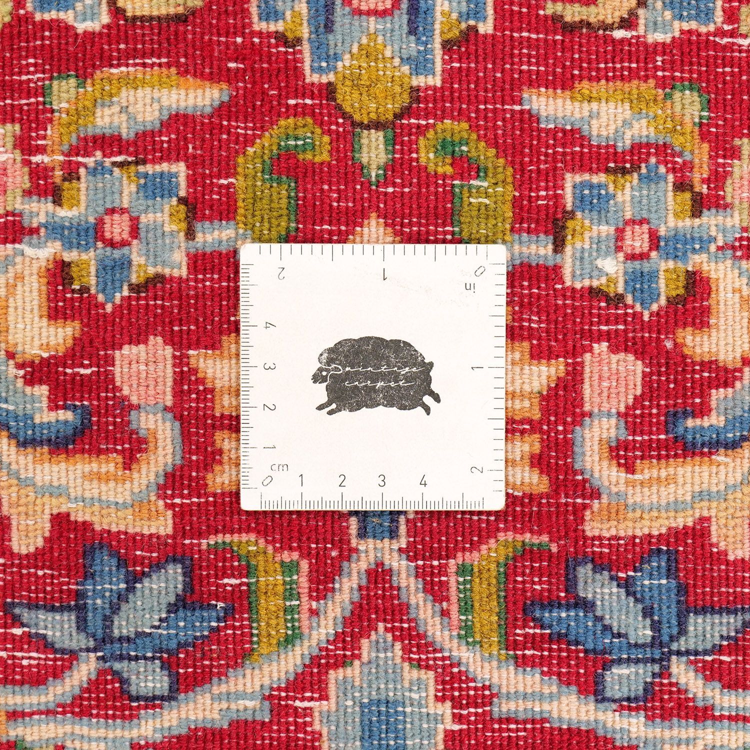 大輪メダリオン