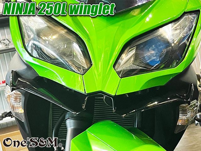 ニンジャ250 ディフューザー ウイングレット フロント カナード