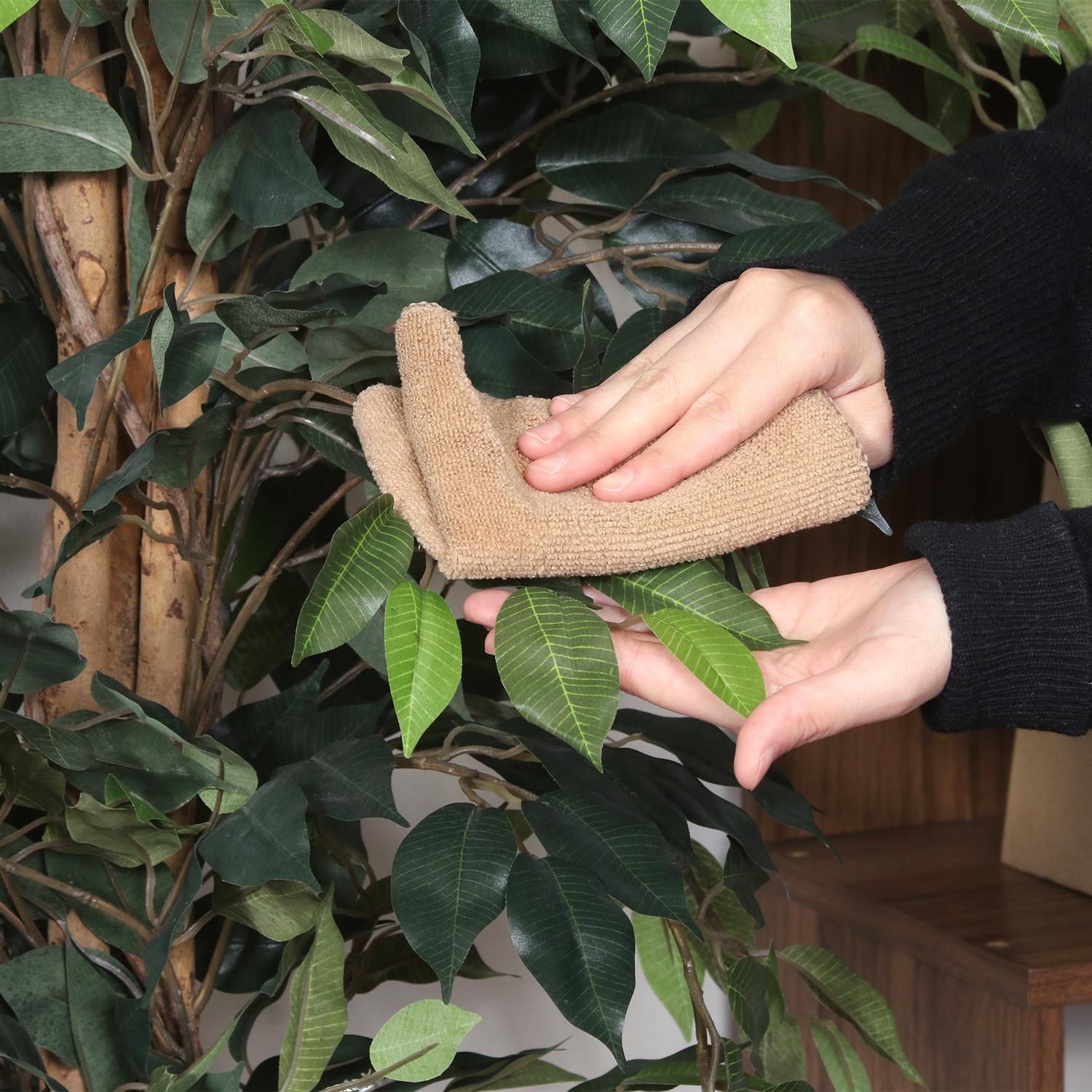 観葉植物 フィカス 1124 A 本物 52662 不二貿易