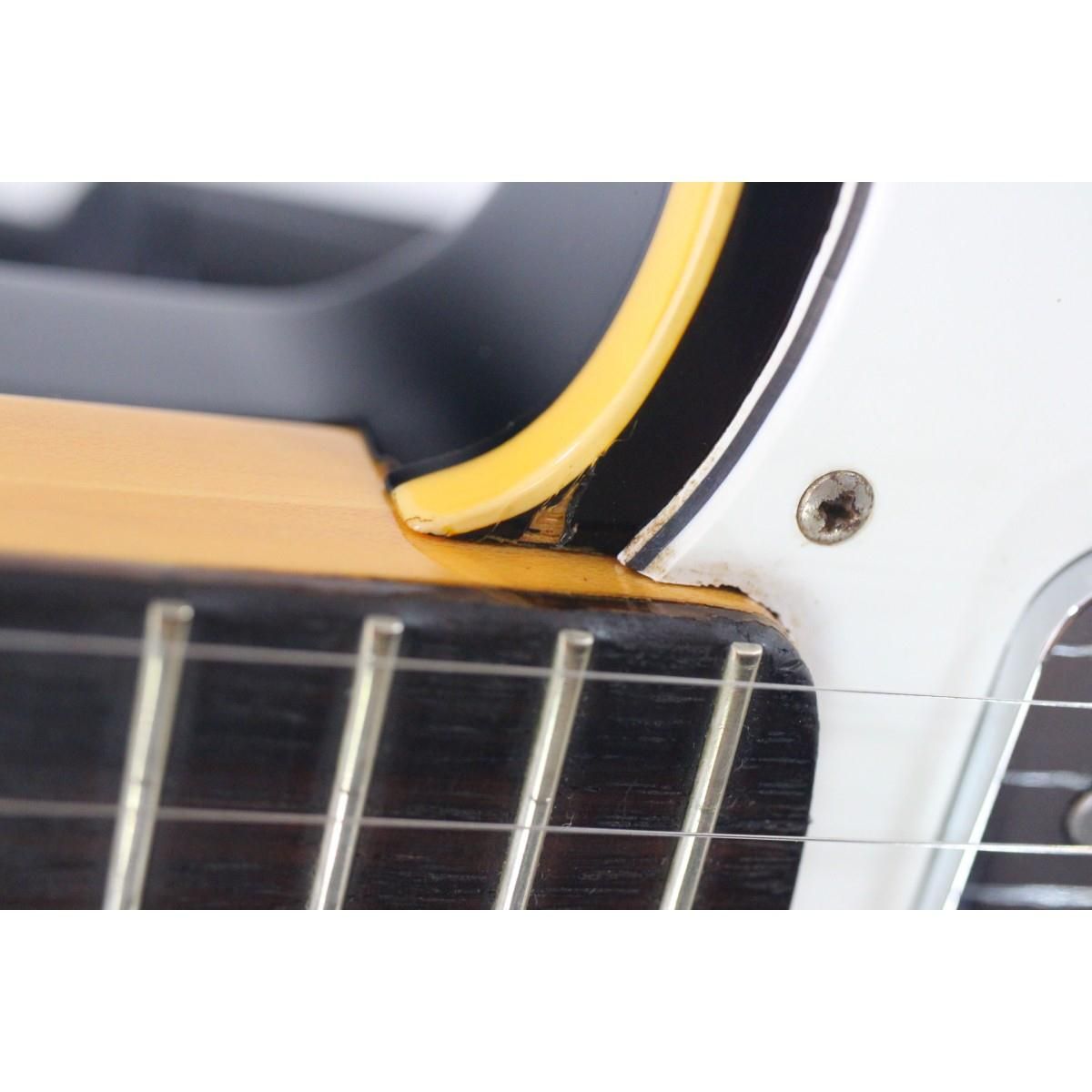 ＲＯＢＩＮ ＲＡＮＧＥＲ ＣＵＳＴＯＭ WWW_TRAVELLANDINDIA_COM