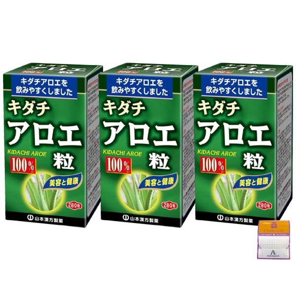 ビンテージ ネイティブアメリカン オグラララコタ インディアン