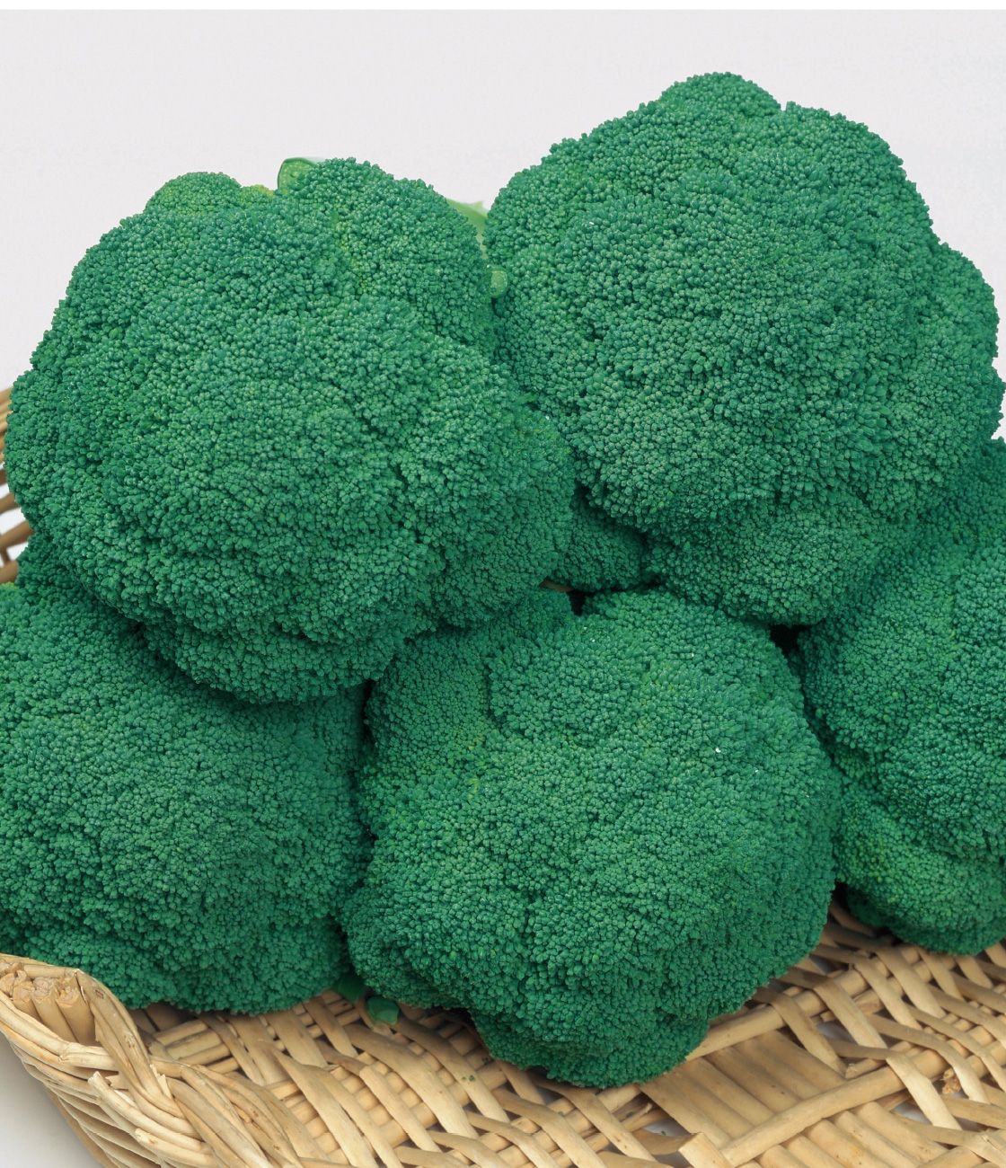 未開封＜野菜の種＞ブロッコリ エンデバーSP フィルムコート