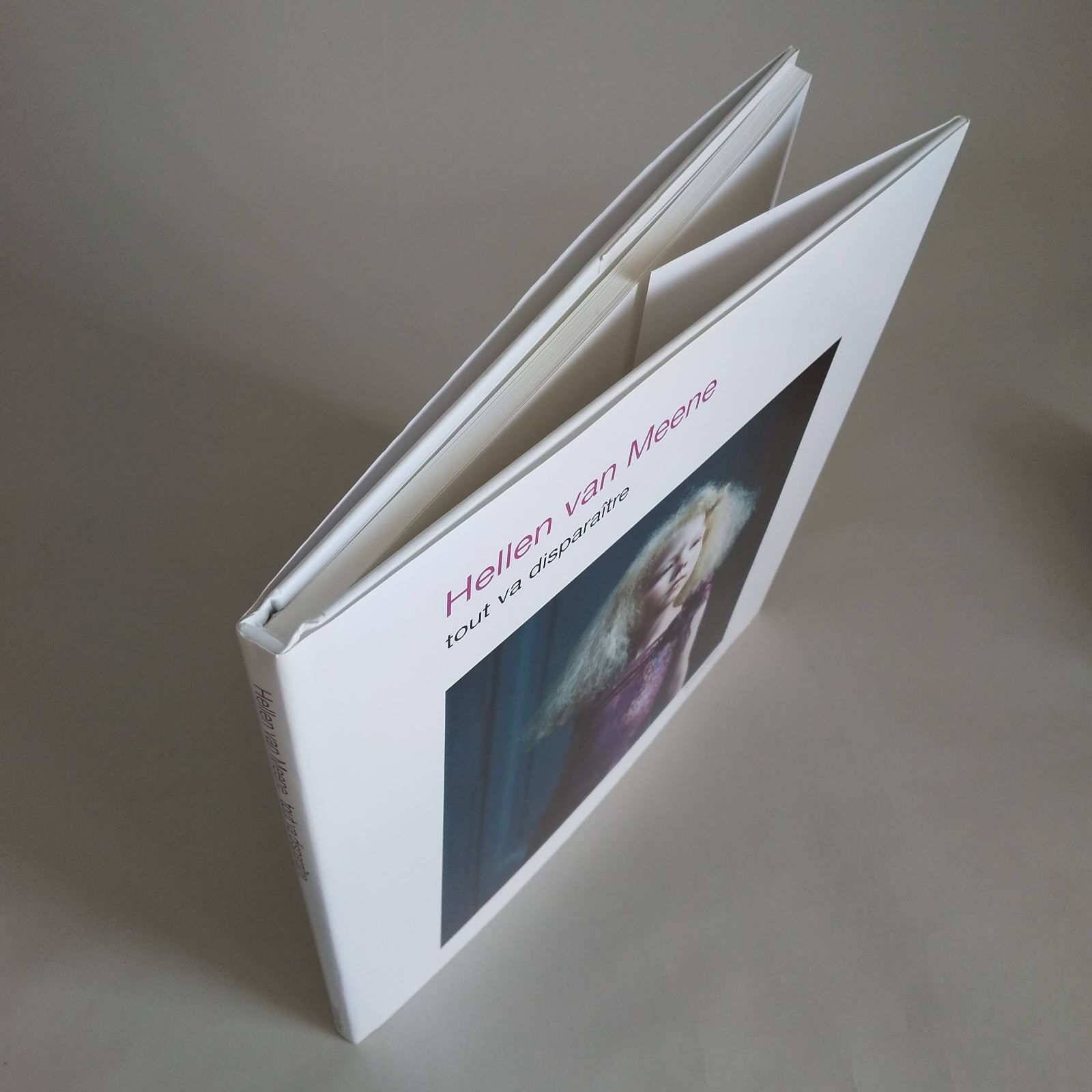 Hellen van Meene: Tout Va Disparaitre - メルカリ