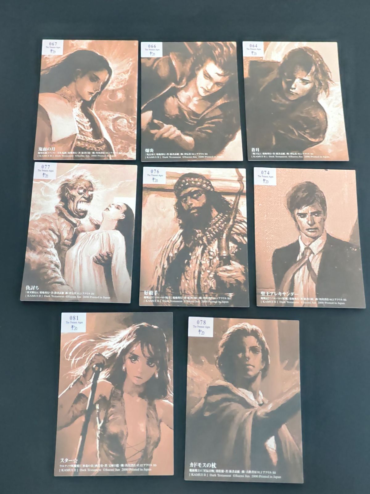 aca391 末弥純 ハイビジュアルカードコレクション カード KAMUI