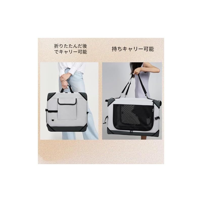 病院 キャンプに大活躍