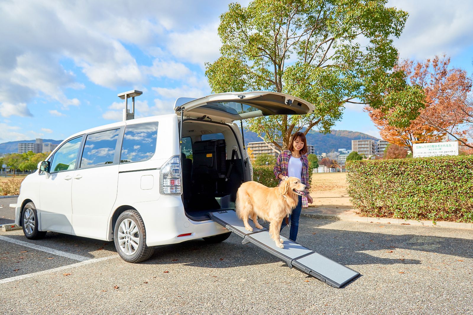 【新品･未使用】ペットステップ ワイド【ステップ スロープ 犬 大型犬 車 】