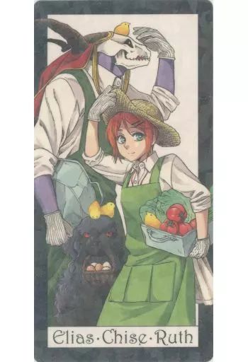 魔法使いの嫁 4巻 特装盤 タロットカード キーホルダー 来場者特典 星待つ人 魔法使いの嫁 4巻 特装盤 タロットカード キーホルダー 来場者