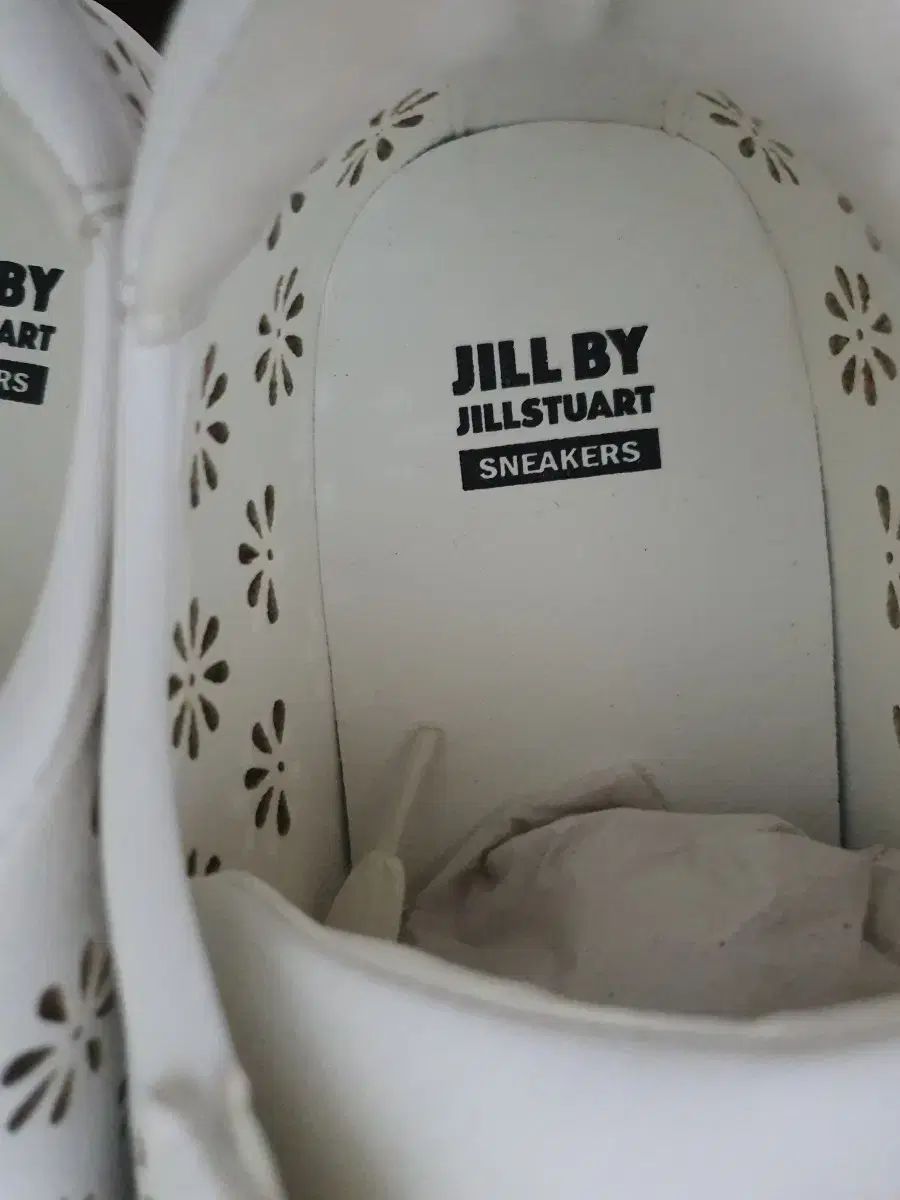 JILL STUART