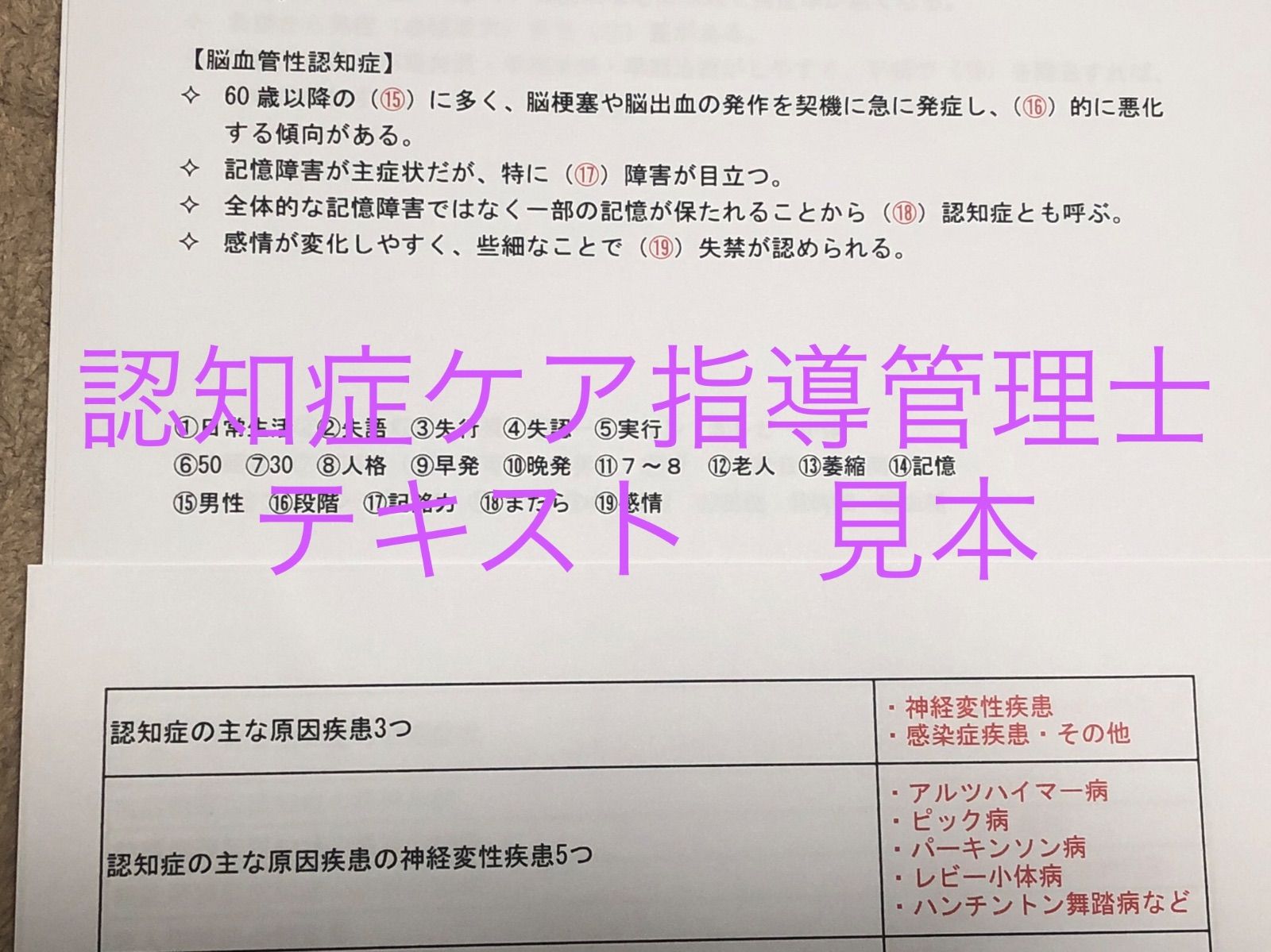 認知症ケア指導管理士 試験対策 要点まとめテキスト - メルカリ