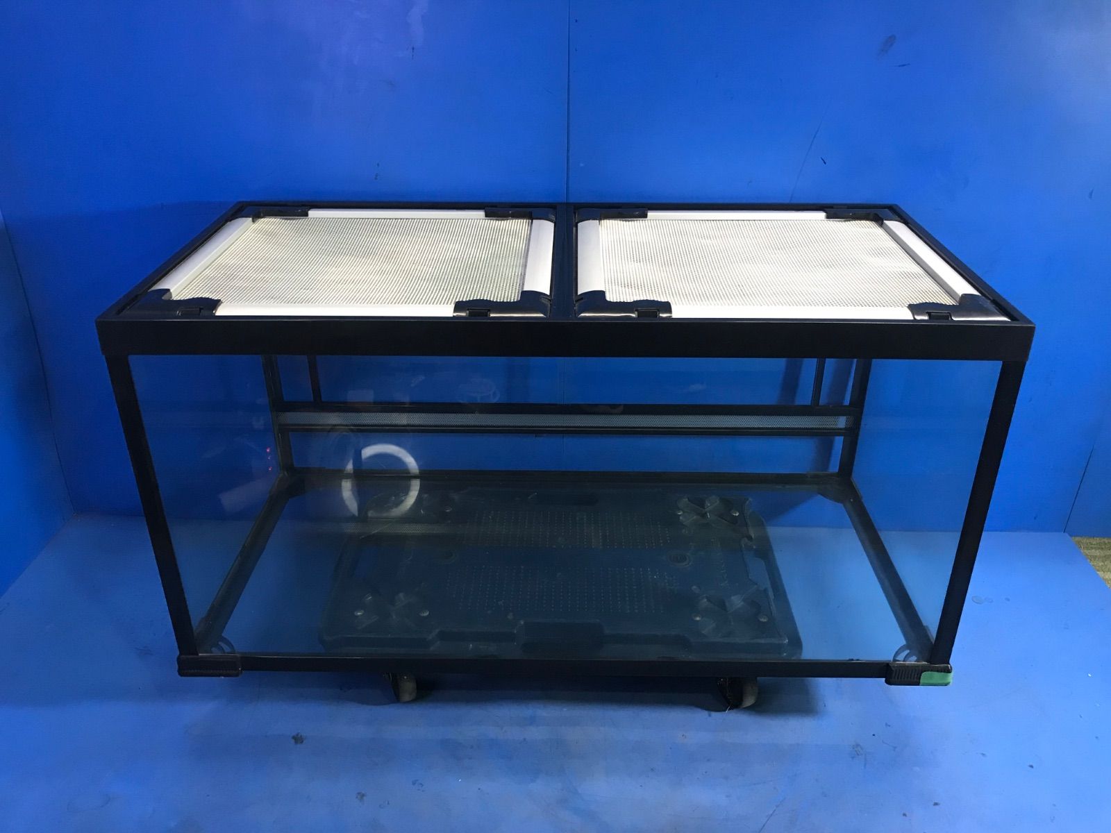 爬虫類ガラスケース