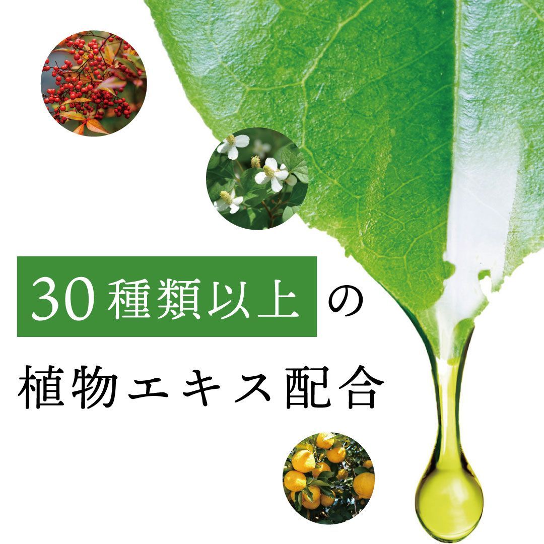 リラックス 抗酸化効果