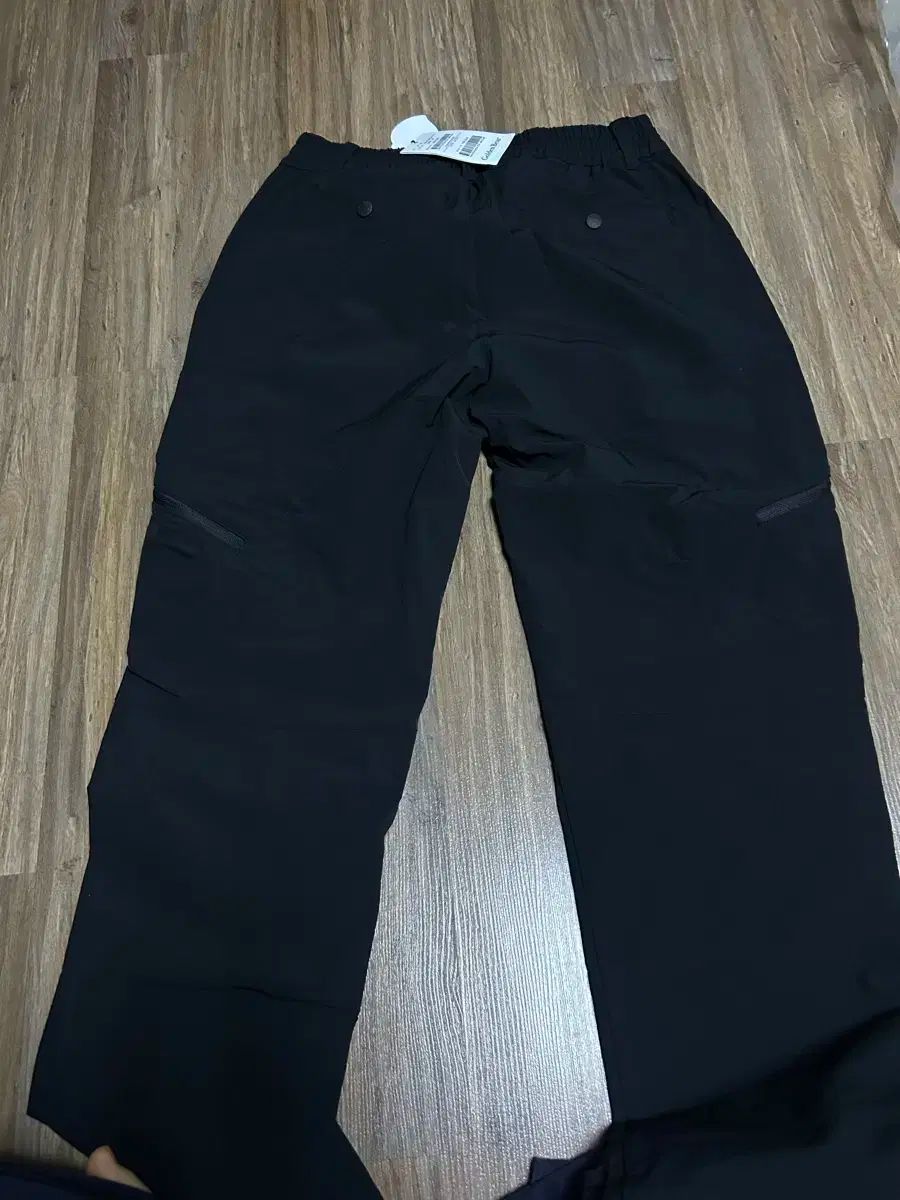 ゴールデンベア