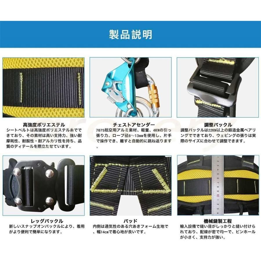 進化版