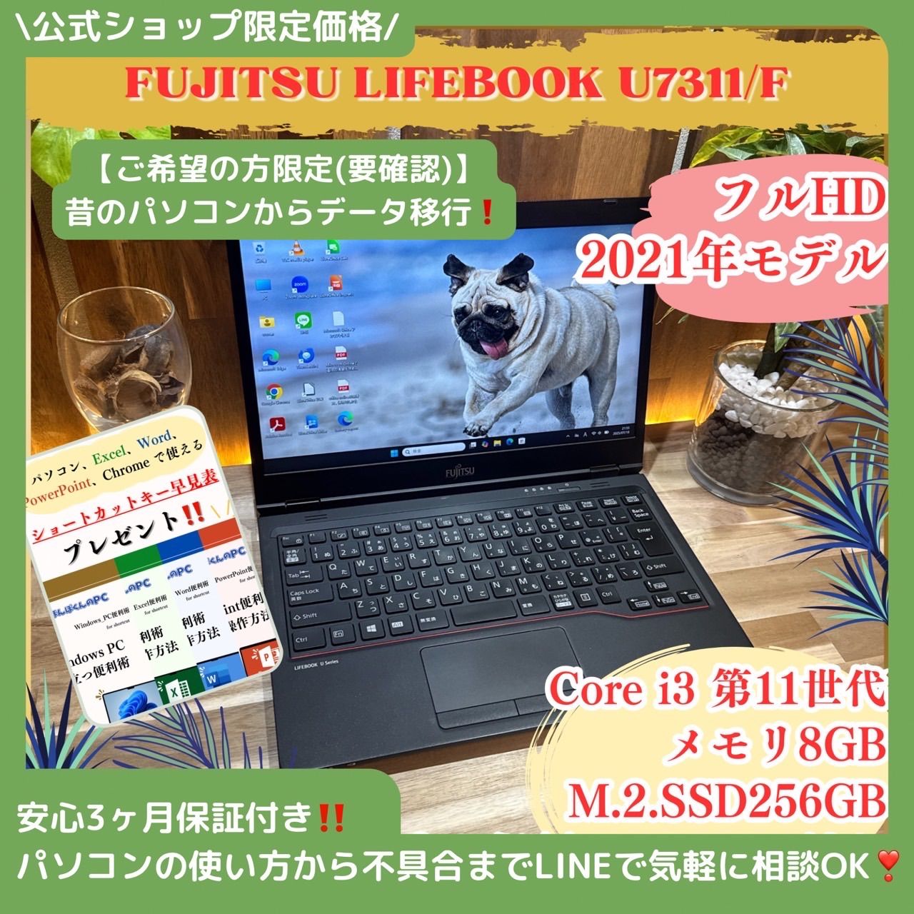 スタンダード歯科理工学 第8版 41ef3qFFLgL.jpg_BO30,255,255,
