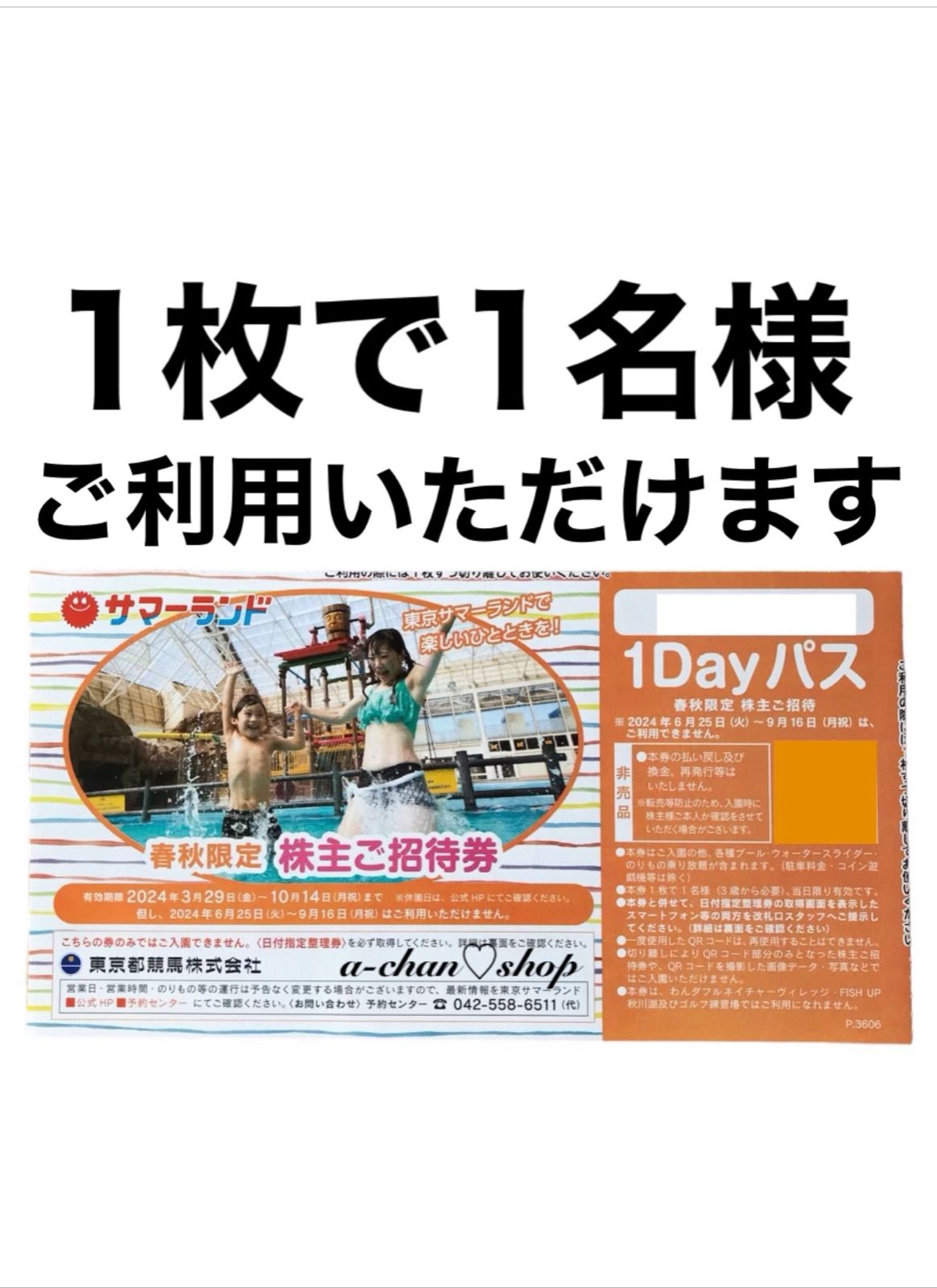 東京サマーランド 株主優待招待券1枚 おぼしき 夏券 フリーパス チケット