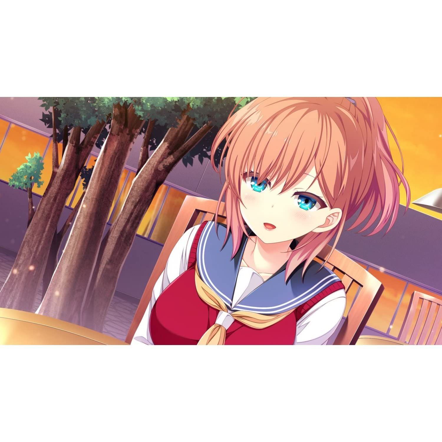 放課後シンデレラ 完全生産限定版 - PS4 (【特典】アクリル