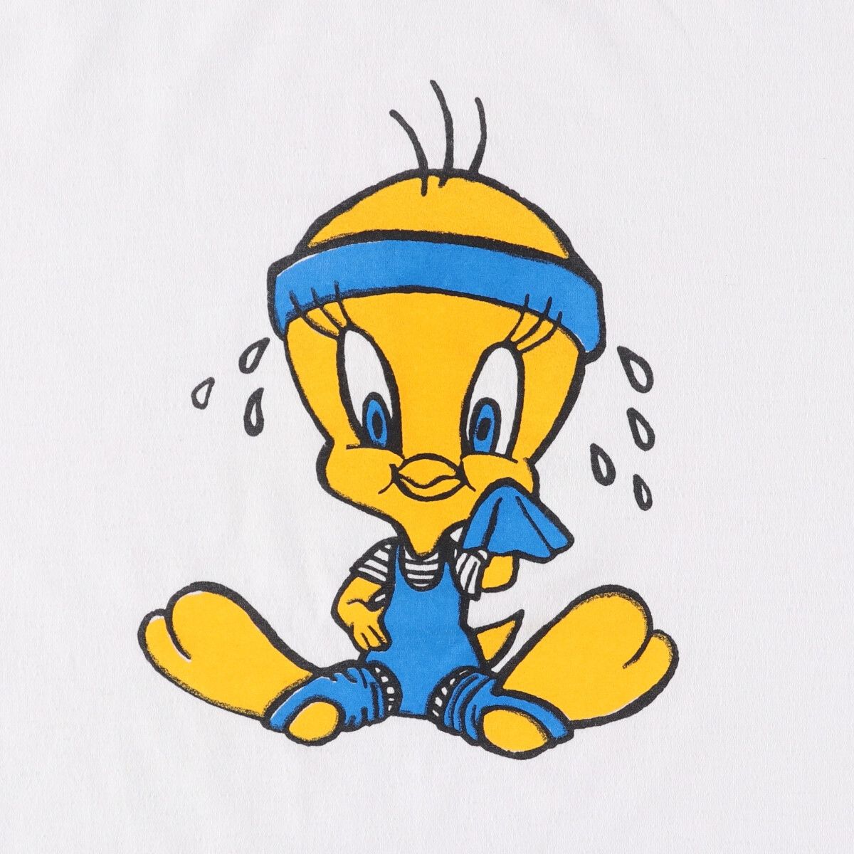 古着 90年代 ALL POINTS SPORTSWEAR LOONEY TUNES TWEETY