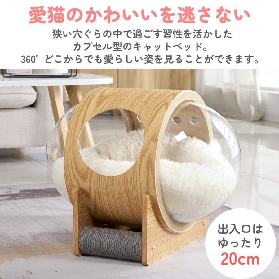 キャットハウス ねこ