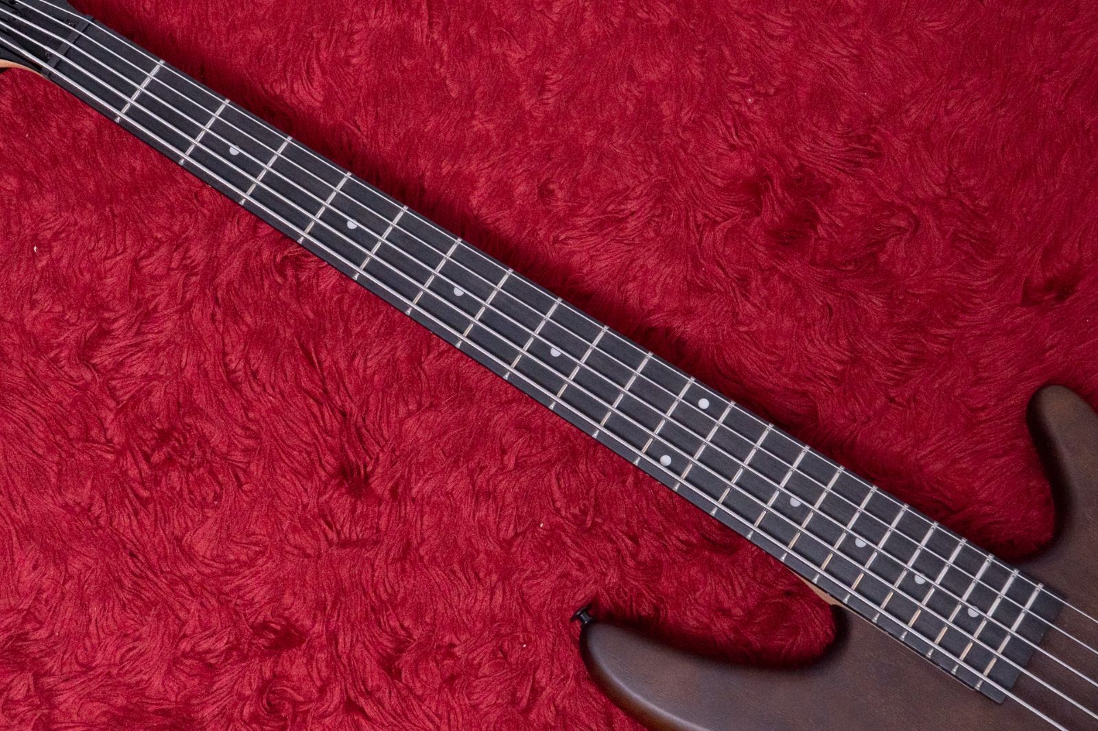 Ibanez