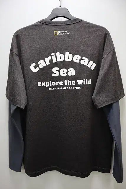 NATIONAL GEOGRAPHIC★コンセプトグラフィック長袖Tシャツ_2色 210.jpg