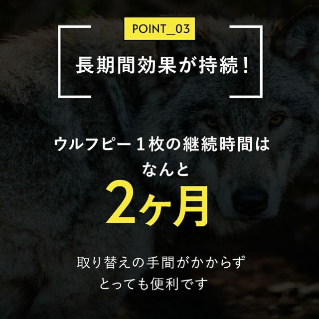 熊 クマ