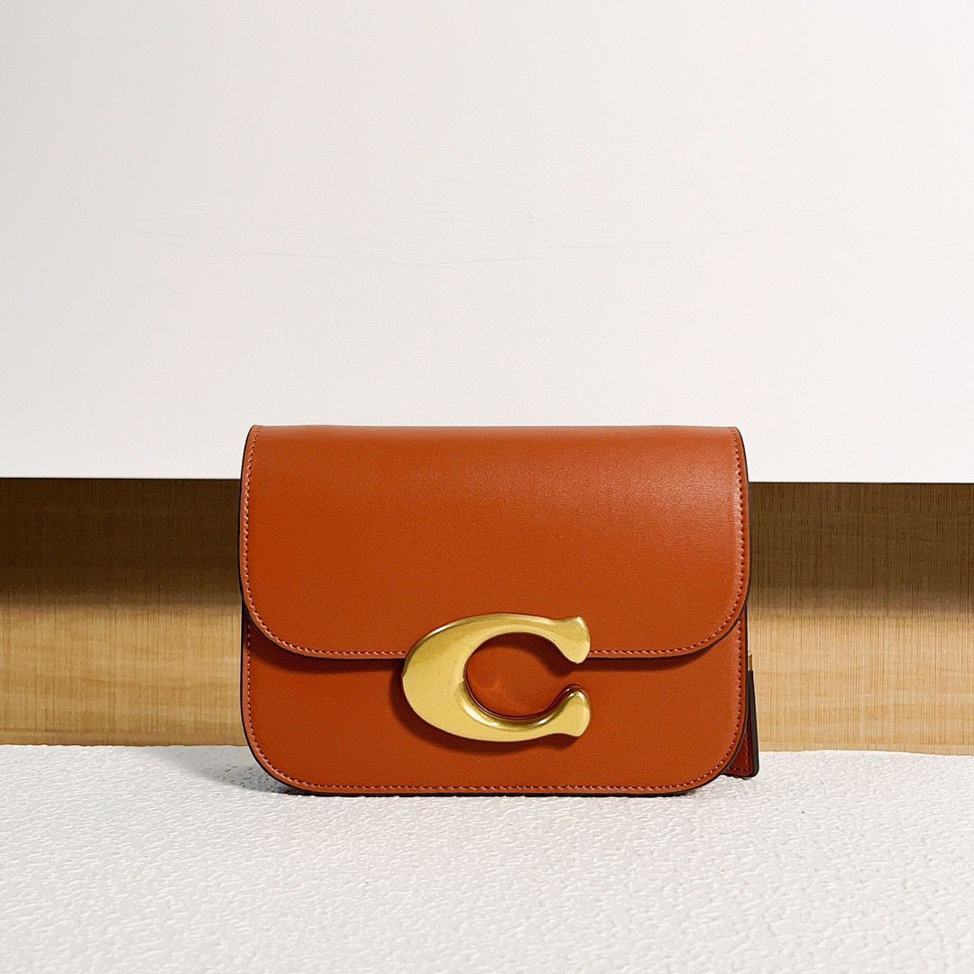 新品未使用COACH CM557 アイドルコレクション メタルチェーン付き  