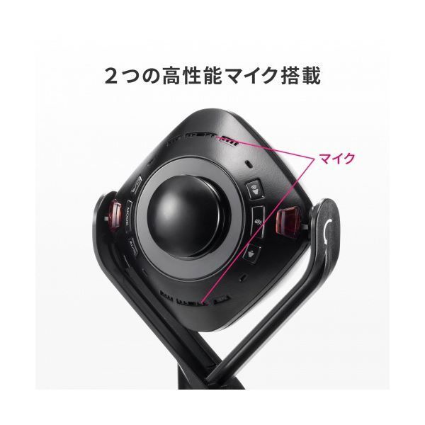サンワサプライスピーカー内蔵360度Webカメラ CMS-V71BK 1台 内容