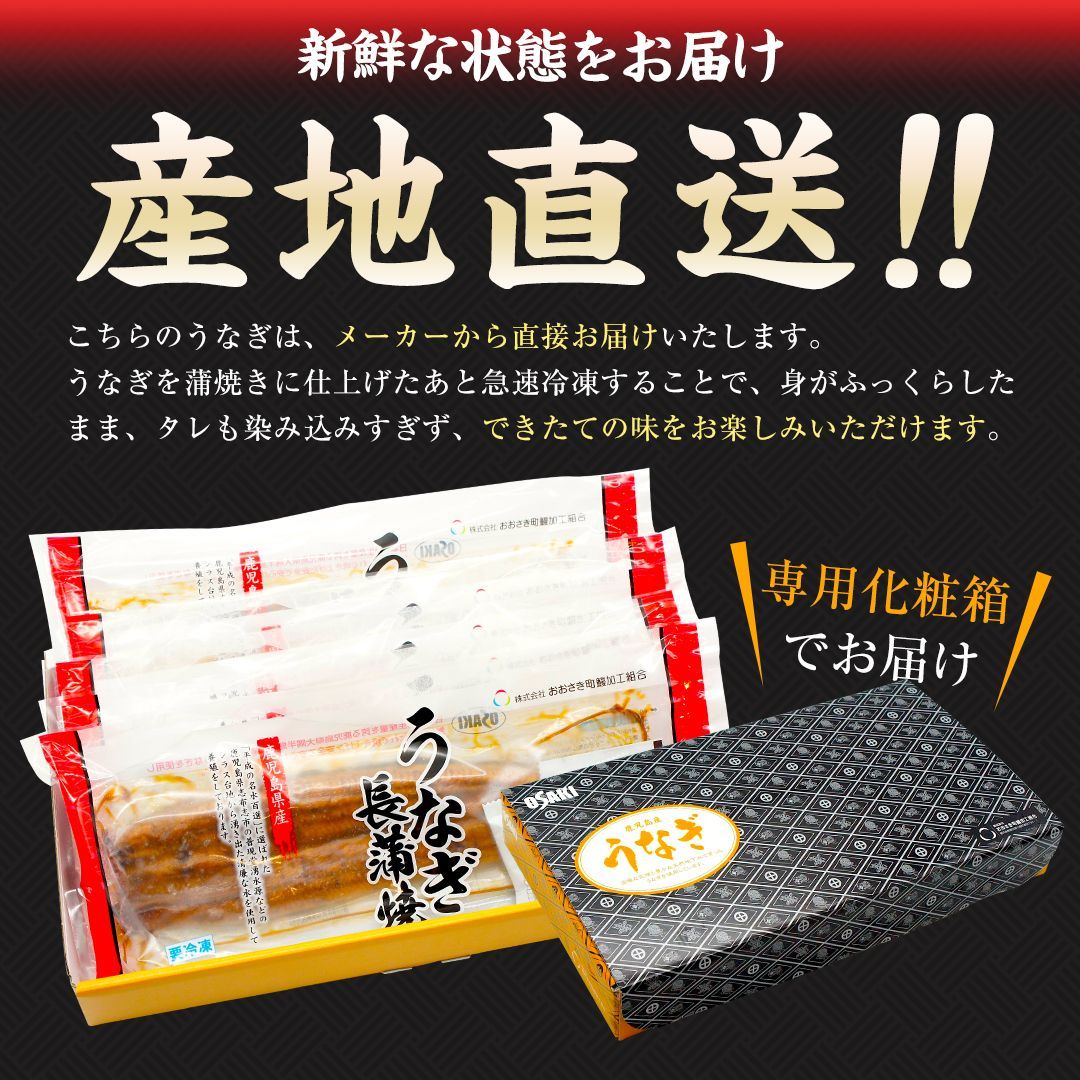 3尾 ウナギ