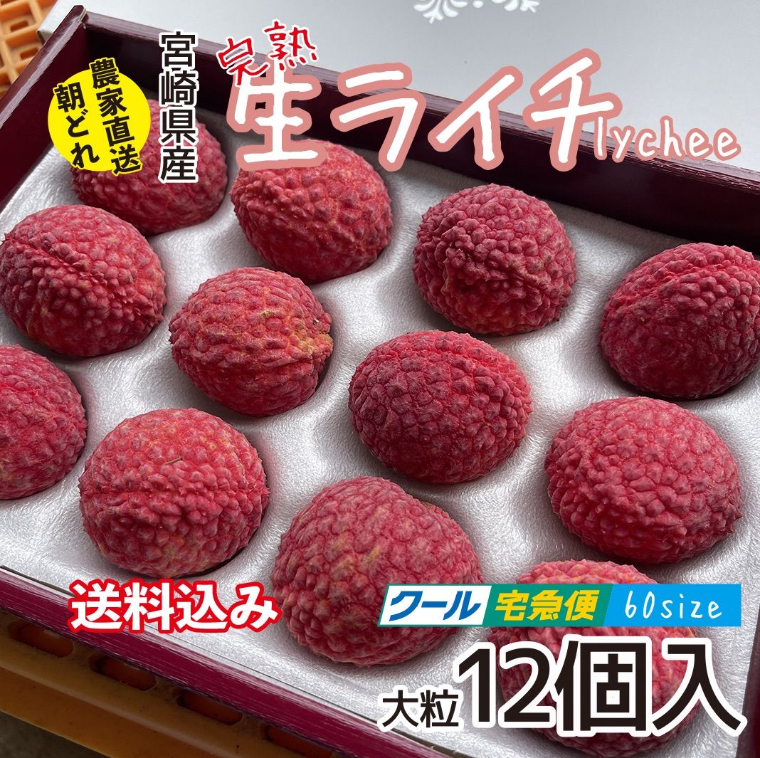12.島津佐多ライチ 1kg 農薬化学肥料不使用 最終収穫SALE ライチ