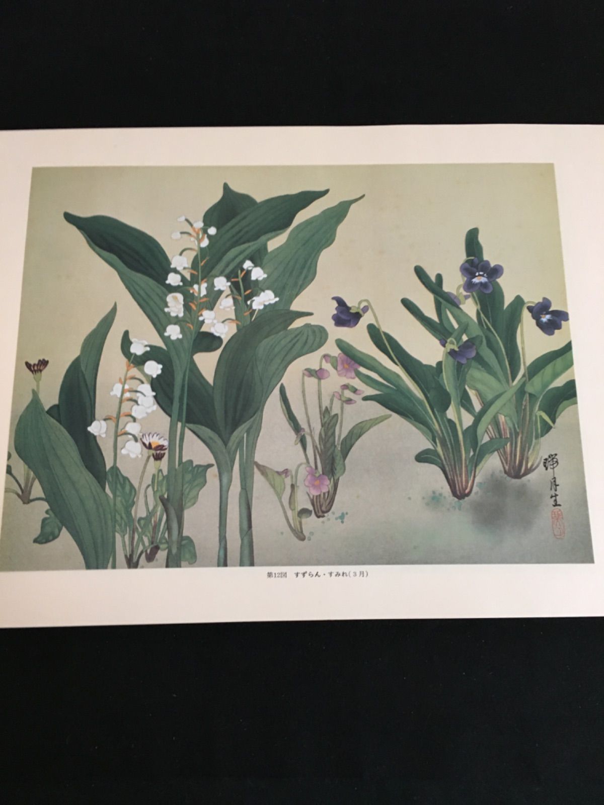 瑞月草花画譜 - メルカリ