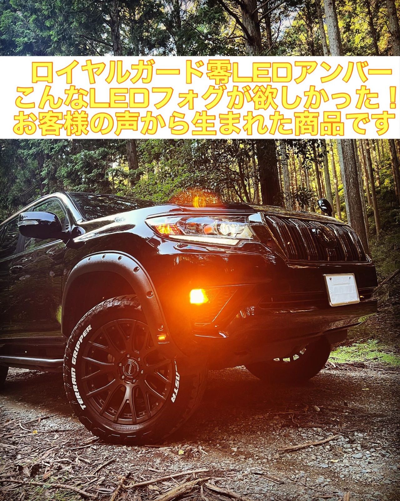 2025年モデルロイヤルガード 零 アンバーLEDフォグ H8 H11 H16