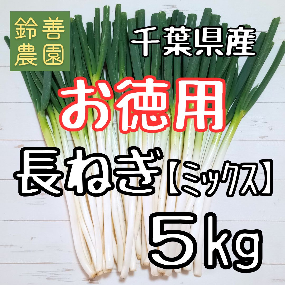 お徳用 長ねぎ【ミックス】5kg (ねぎ ネギ 長ネギ 白ねぎ 白ネギ