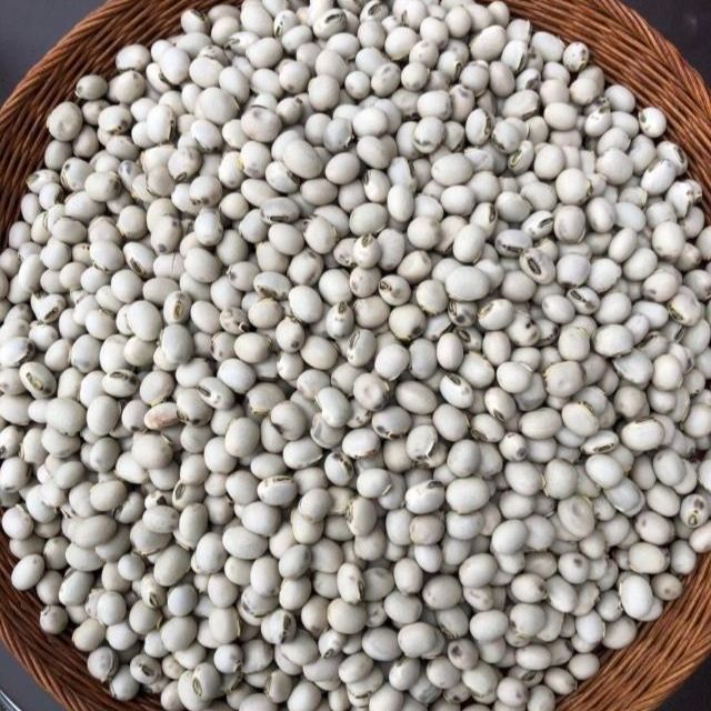 岡山産令和4年産ムクナ豆【八升豆】500g