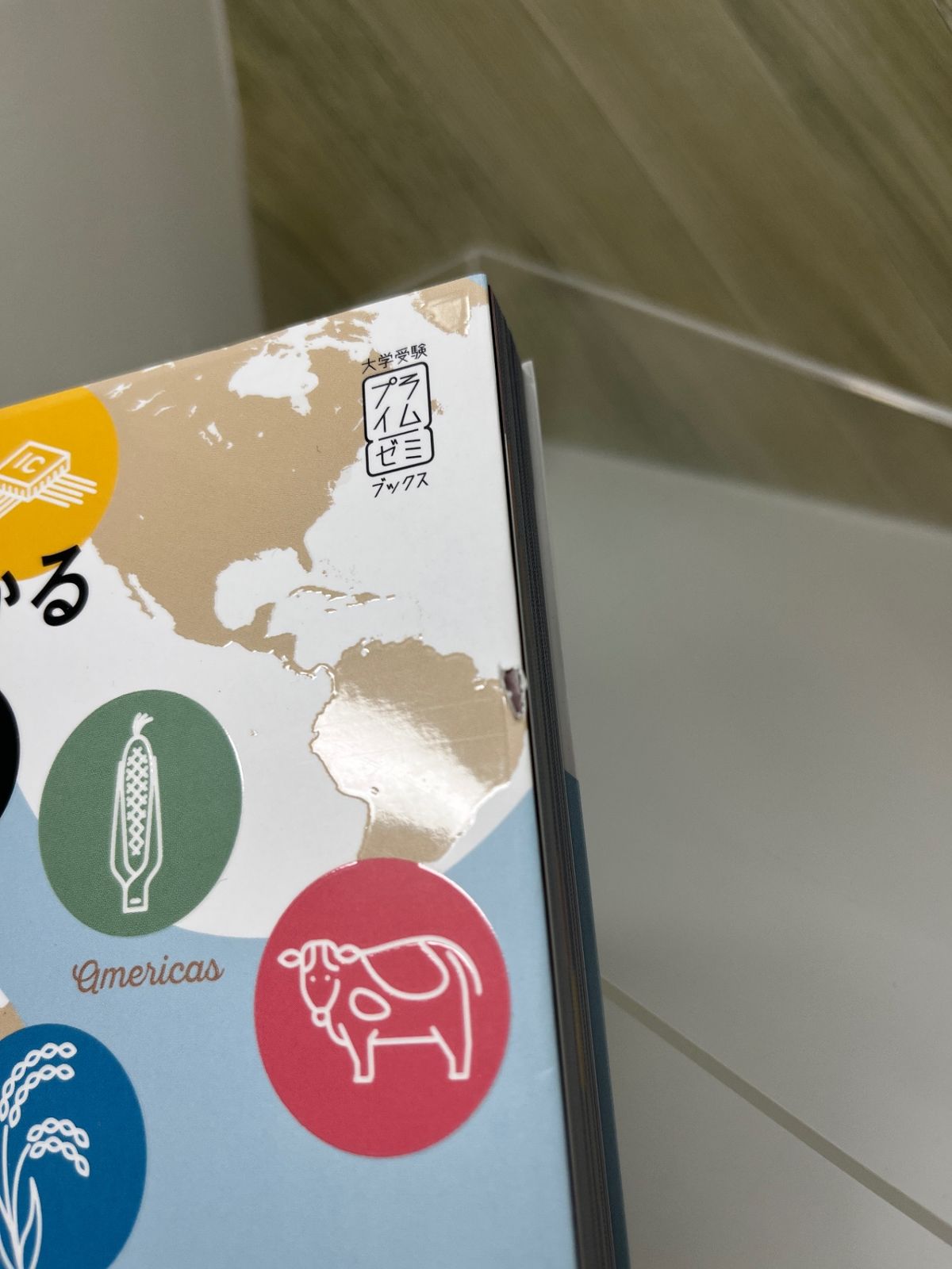 美品　村瀬のゼロからわかる地理Ｂ Amazon.co.jp: 村瀬のゼロからわかる地理B 系統地理編 : おもちゃ