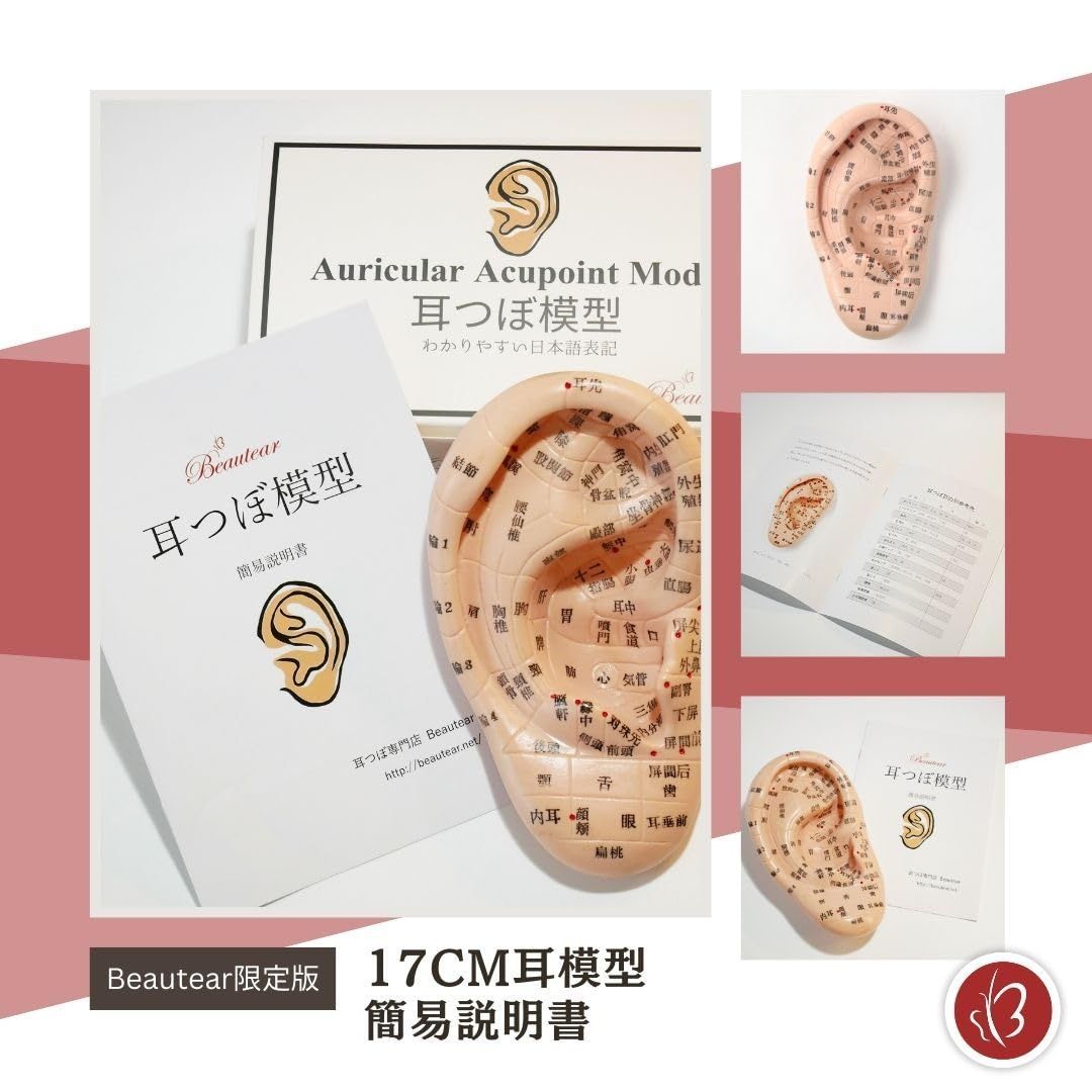 20個セット 未使用 FENGFAN 耳つぼ模型 耳ツボマッサージ 中国語表記