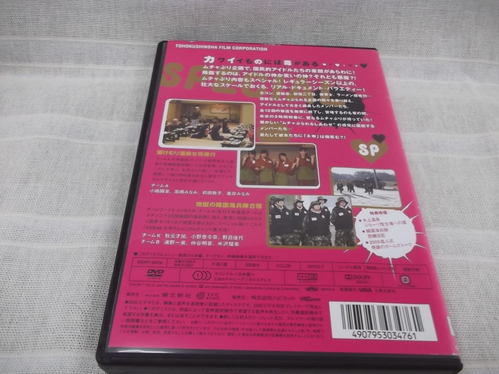 AKB48 ネ申テレビ シーズン1 SP レンタル専用 中古 DVD ケース付き