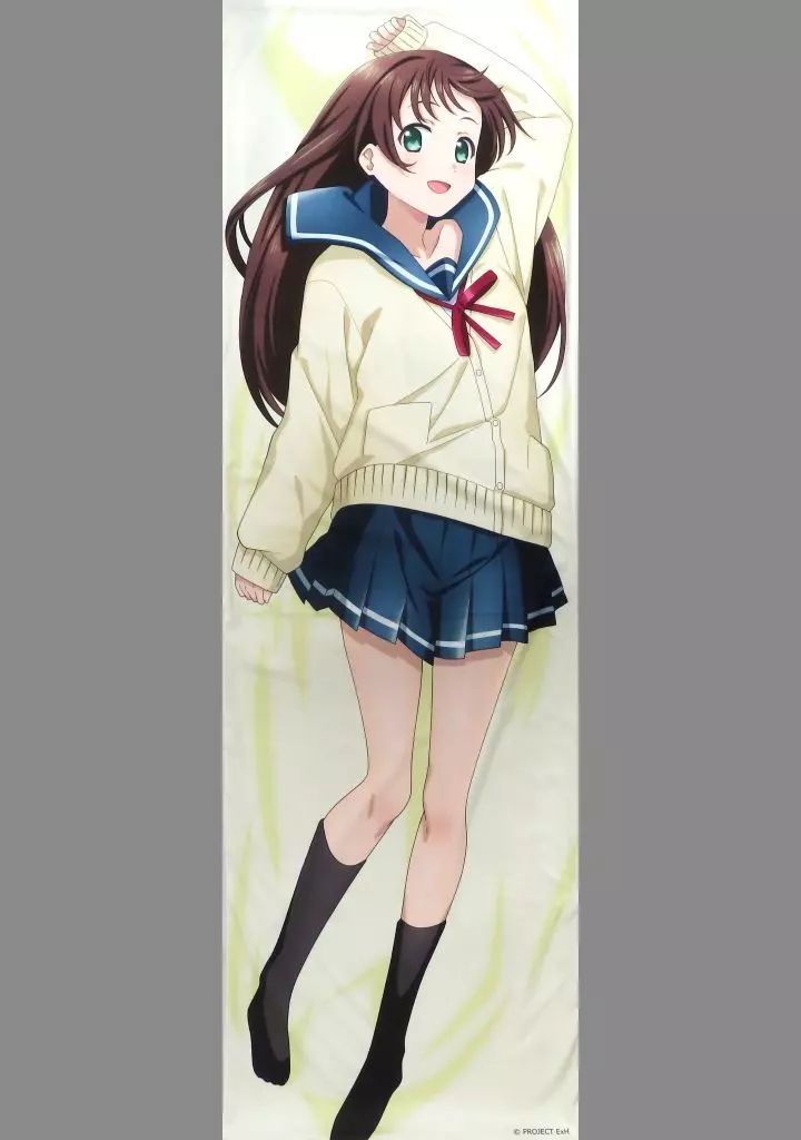 中古】抱き枕カバー・シーツ・ブランケット 前原純華 RISEの
