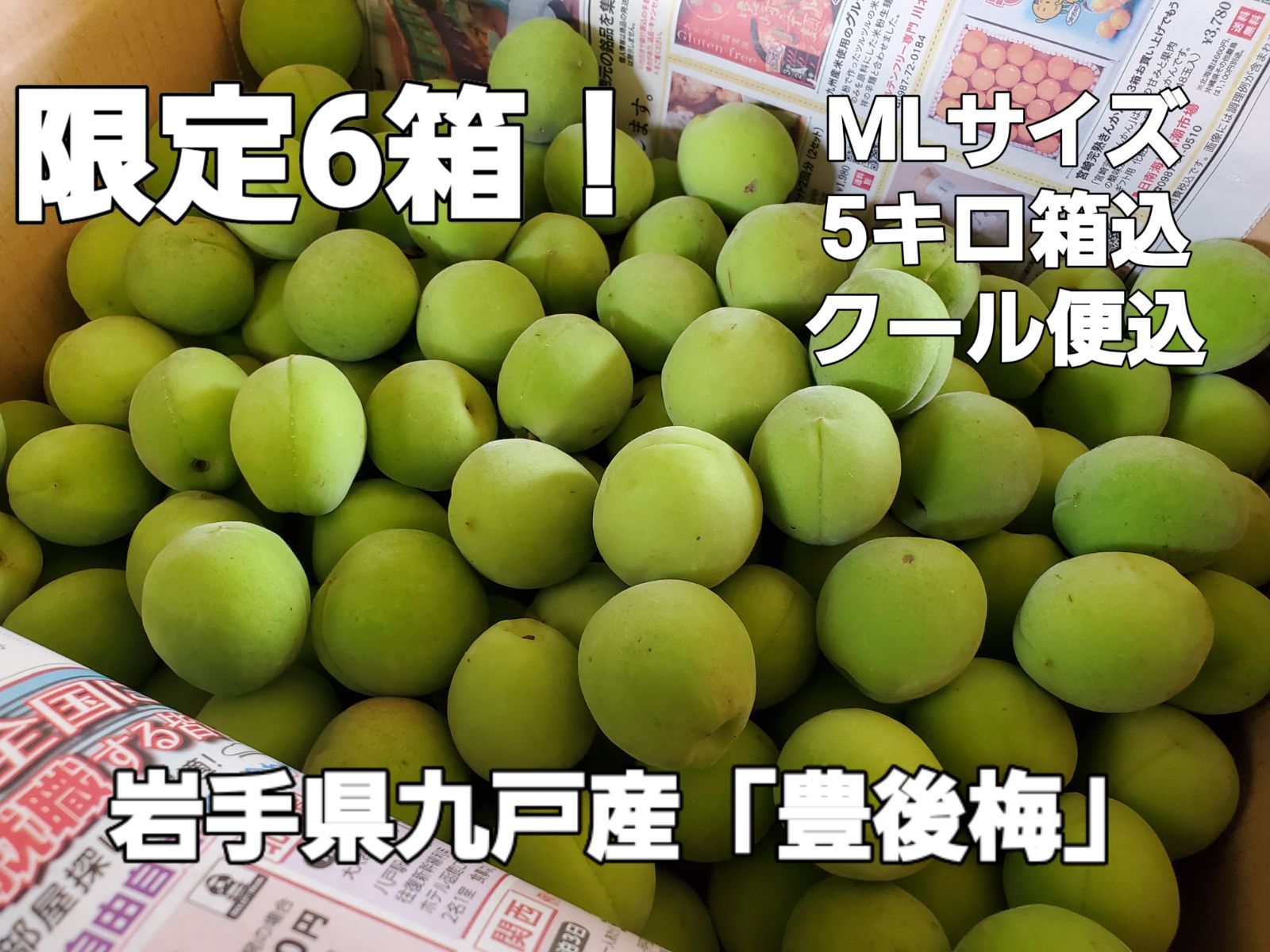 ◆青梅「豊後梅」青森県産　Lサイズ　５Kｇ　【メルカリ便】送料込