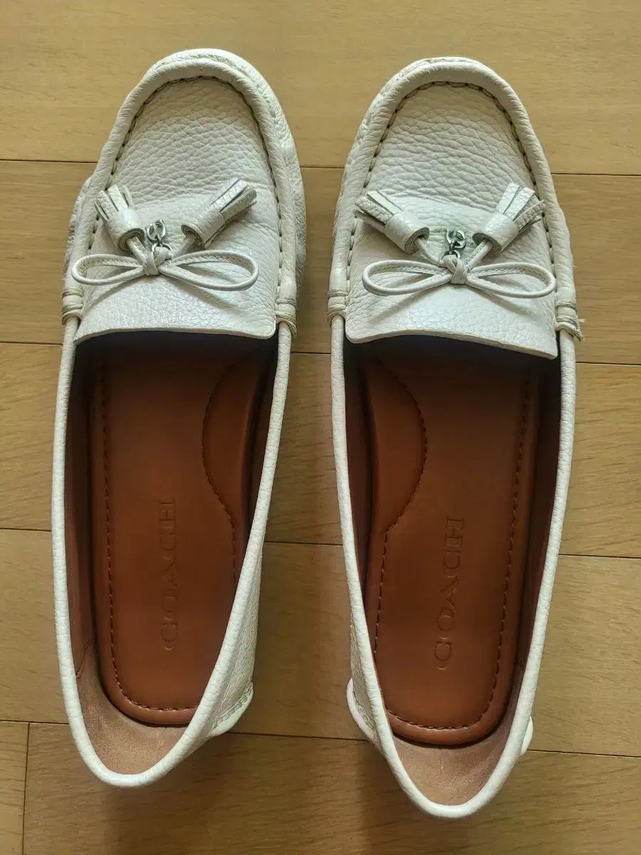 PELLICO ペリーコ ANIMA アネッリ エナメル パンプス 黒 37 PELLICO