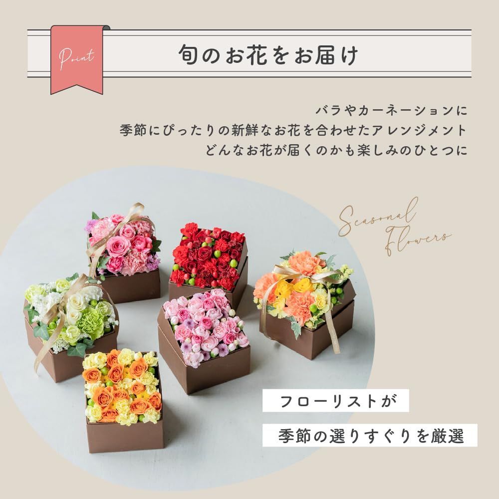 WOW サニーオレンジ