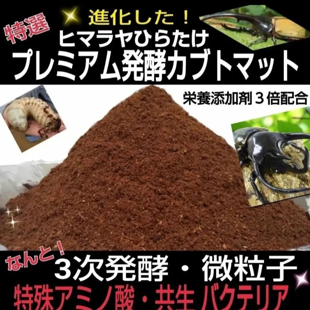 外国産カブトムシ幼虫が大きくなります 3次発酵ヘラクレスマット